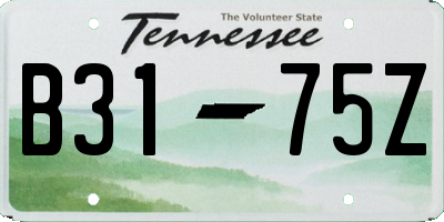 TN license plate B3175Z