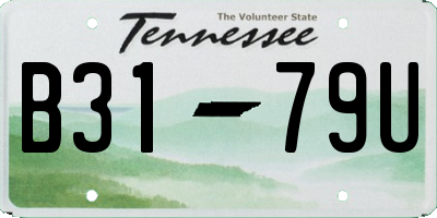 TN license plate B3179U