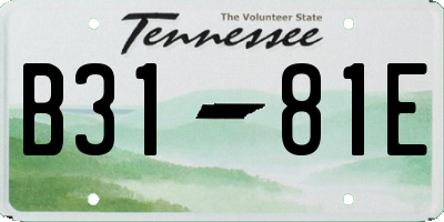 TN license plate B3181E
