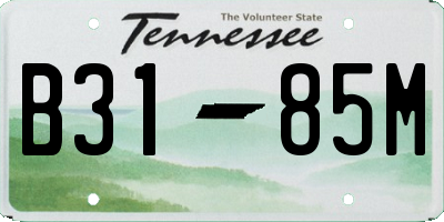 TN license plate B3185M
