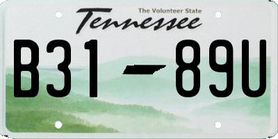 TN license plate B3189U