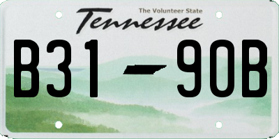 TN license plate B3190B