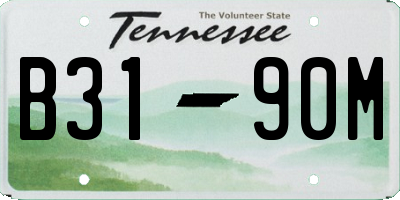 TN license plate B3190M
