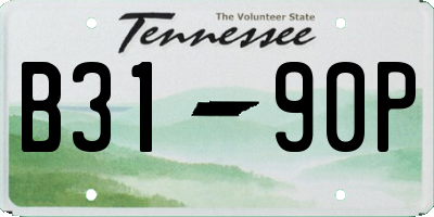 TN license plate B3190P