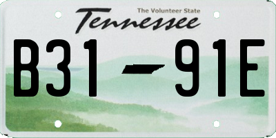 TN license plate B3191E