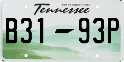 TN license plate B3193P