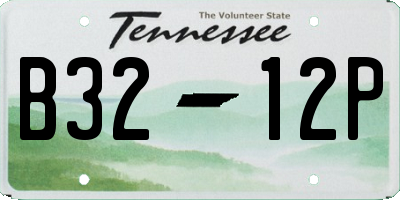 TN license plate B3212P
