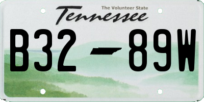 TN license plate B3289W