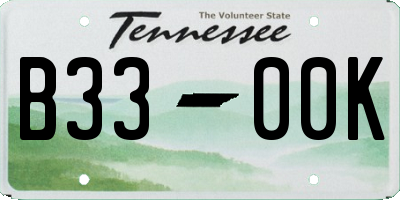 TN license plate B3300K