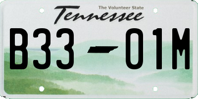 TN license plate B3301M