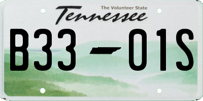 TN license plate B3301S