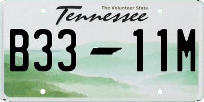 TN license plate B3311M