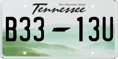 TN license plate B3313U
