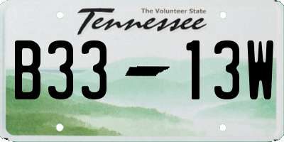 TN license plate B3313W