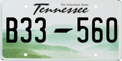 TN license plate B3356O