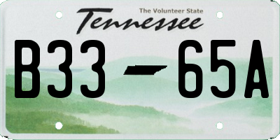 TN license plate B3365A