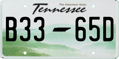 TN license plate B3365D