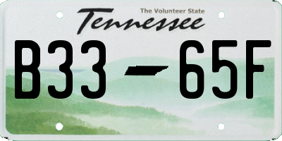 TN license plate B3365F