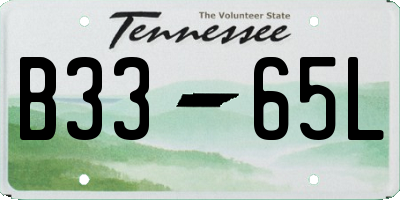 TN license plate B3365L