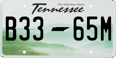 TN license plate B3365M