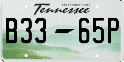 TN license plate B3365P