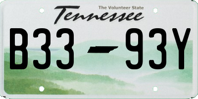 TN license plate B3393Y
