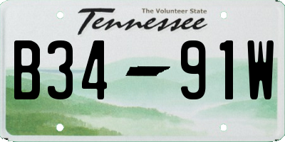 TN license plate B3491W