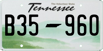 TN license plate B3596O