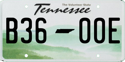 TN license plate B3600E