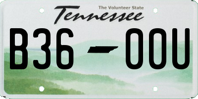 TN license plate B3600U