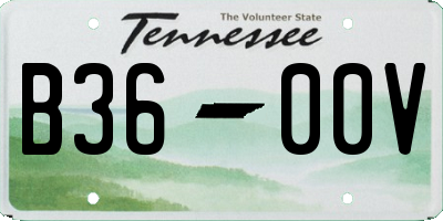 TN license plate B3600V