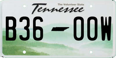 TN license plate B3600W