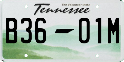 TN license plate B3601M
