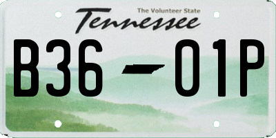 TN license plate B3601P