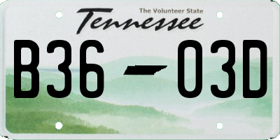TN license plate B3603D