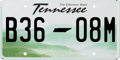 TN license plate B3608M