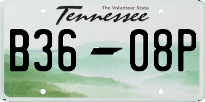 TN license plate B3608P