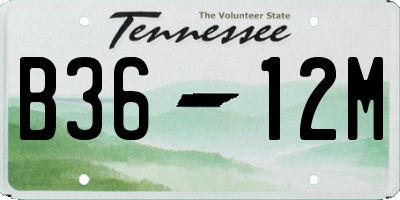 TN license plate B3612M