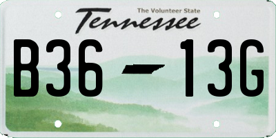 TN license plate B3613G