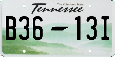 TN license plate B3613I