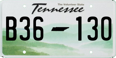 TN license plate B3613O