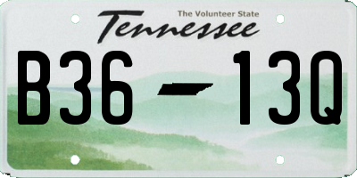 TN license plate B3613Q