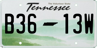 TN license plate B3613W