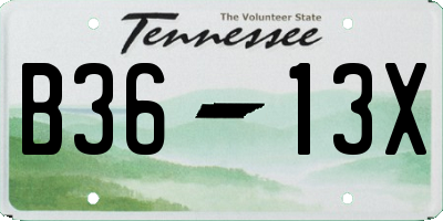 TN license plate B3613X