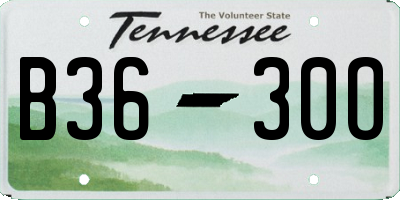 TN license plate B3630O