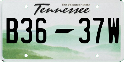 TN license plate B3637W