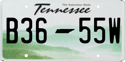 TN license plate B3655W