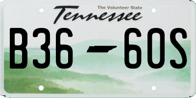 TN license plate B3660S