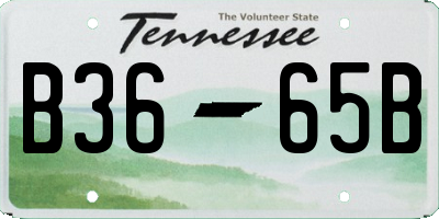 TN license plate B3665B