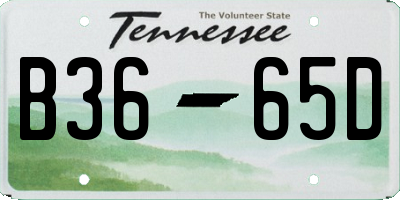 TN license plate B3665D